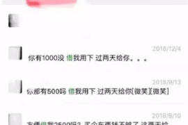 府谷府谷的要账公司在催收过程中的策略和技巧有哪些？